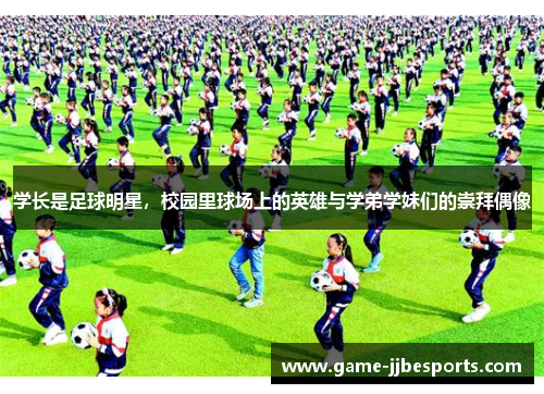 学长是足球明星，校园里球场上的英雄与学弟学妹们的崇拜偶像